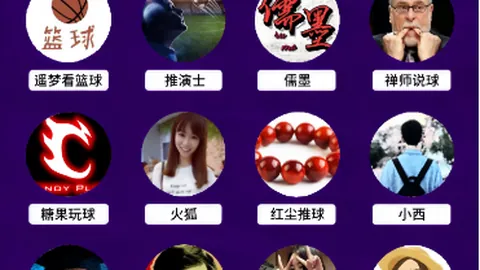 篮球盛宴：公牛对决快船，巅峰对决直击8胜6场精彩瞬间！
